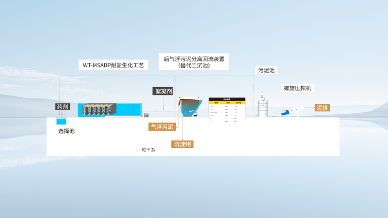 PP电子·(中国)官方网站